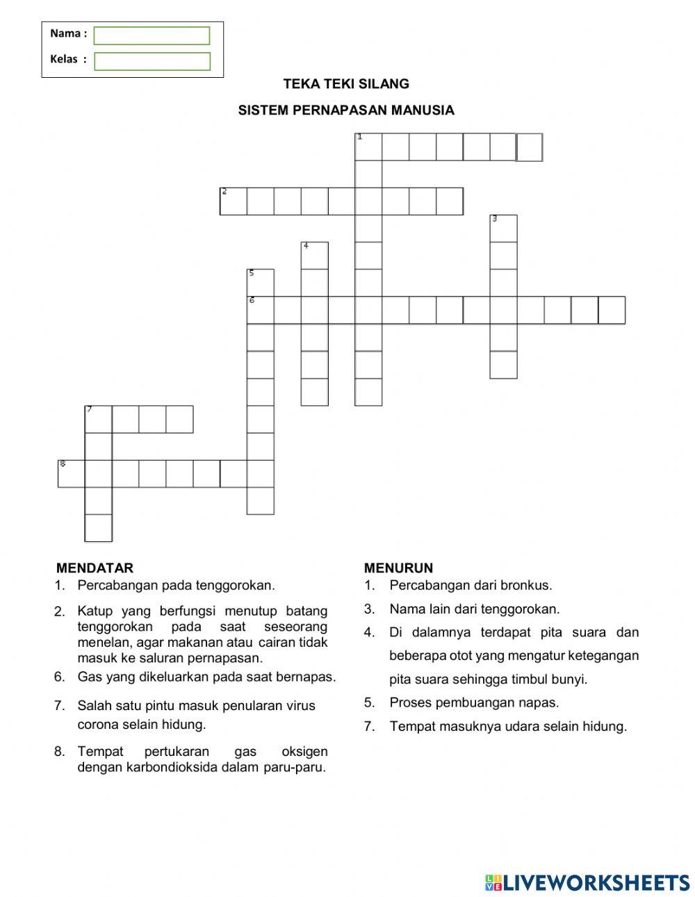 Organ Pernapasan Manusia