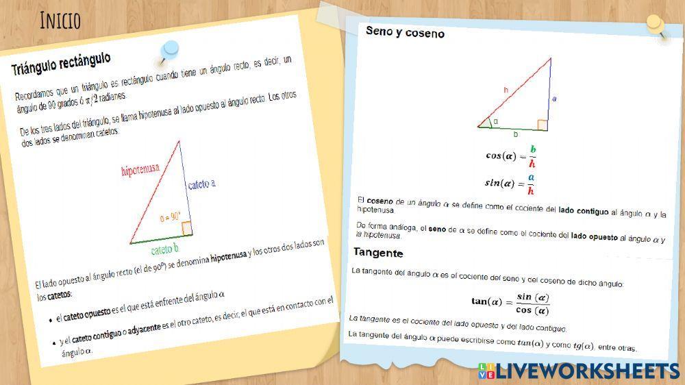 9.2.6 Análisis de las relaciones entre los ángulos y los lados de un triángulo rectángulo