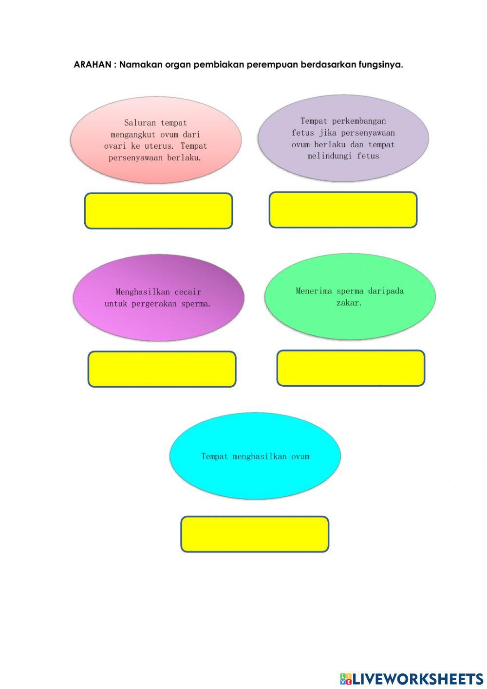 Fungsi organ pembiakan manusia