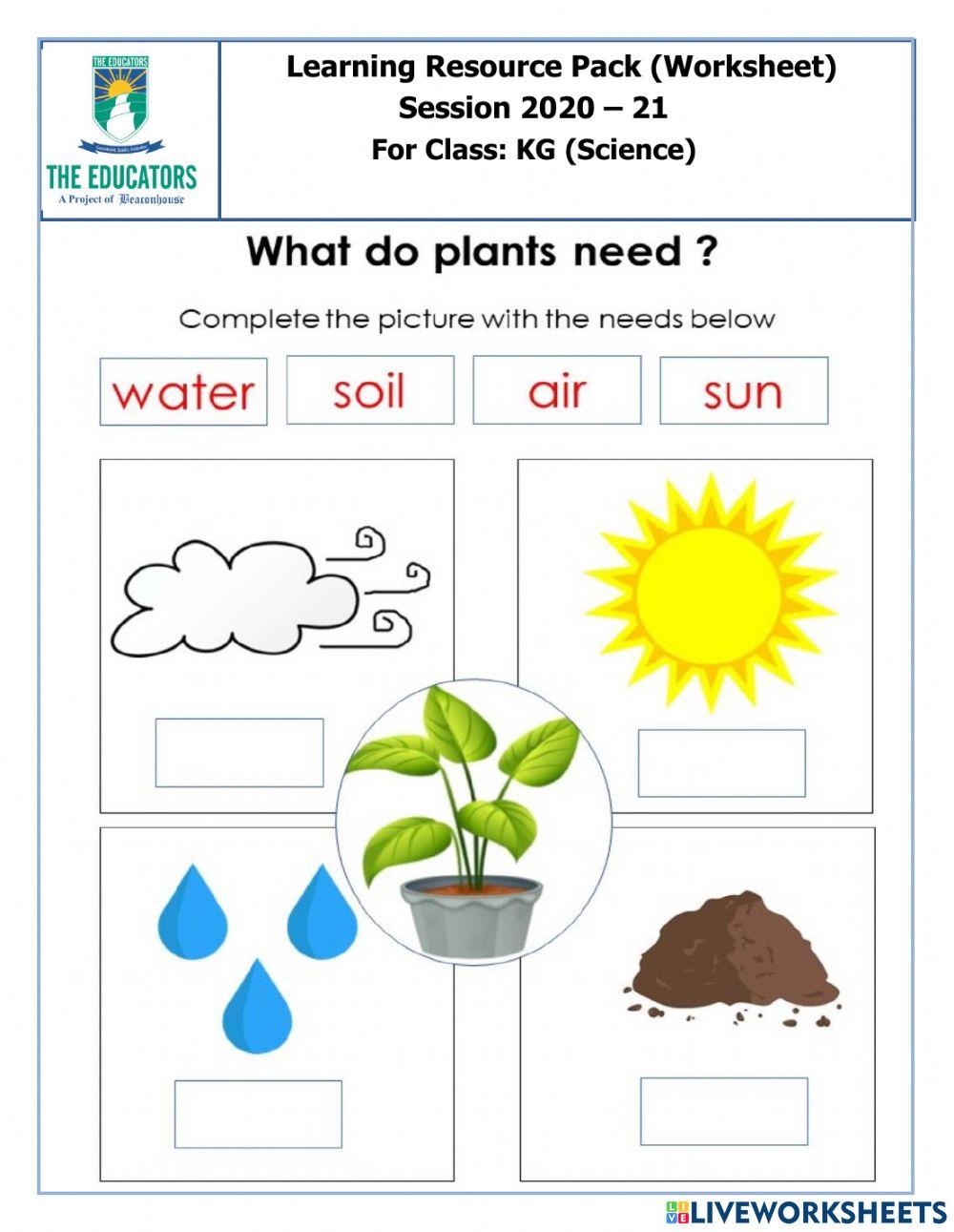 What do need plant worksheet | Live Worksheets