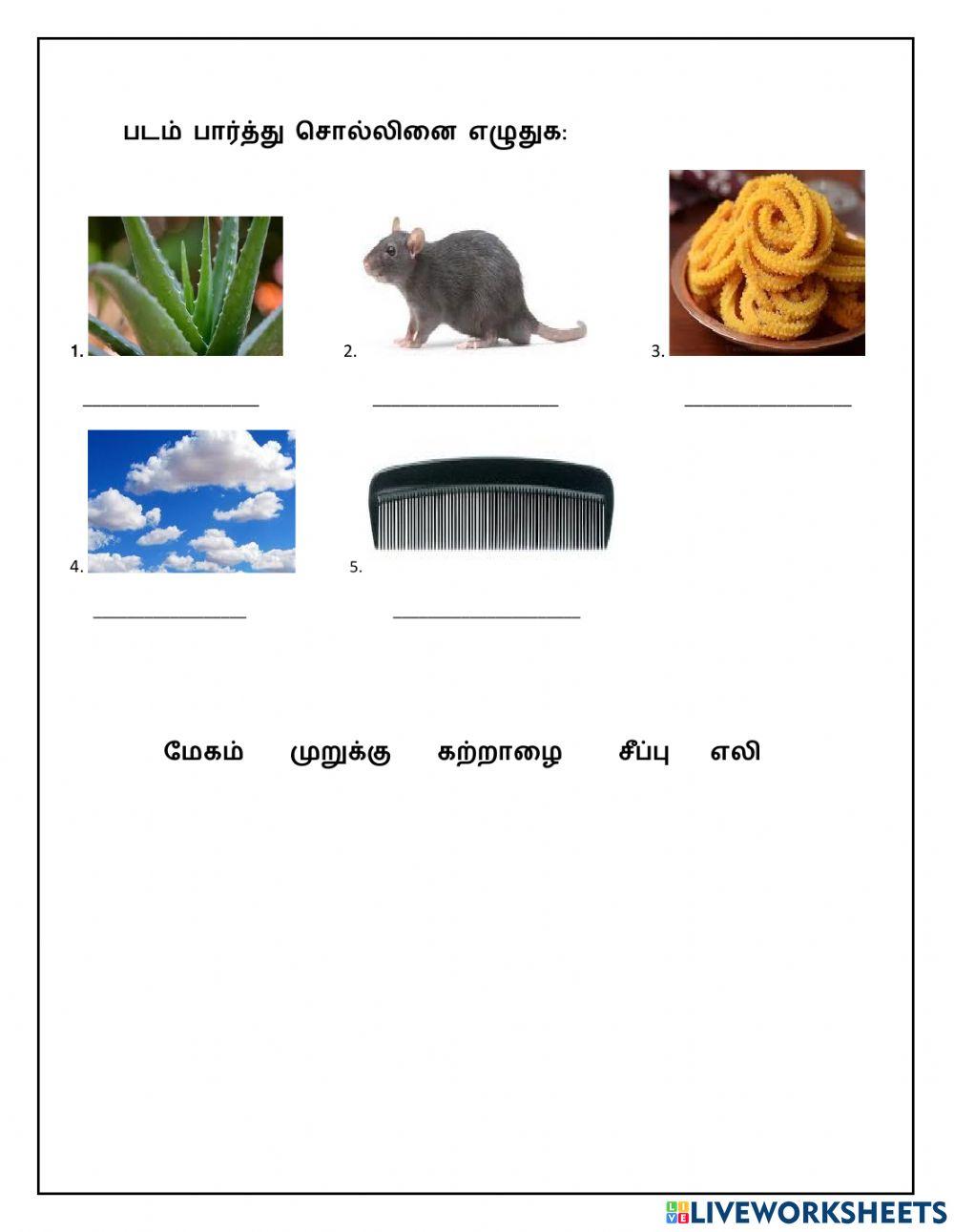 படம் பார்த்து சொல்லினை எழுதுக: