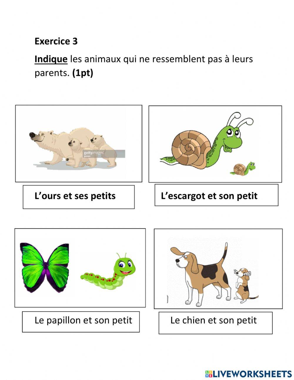 Les animaux et leurs petits eb1