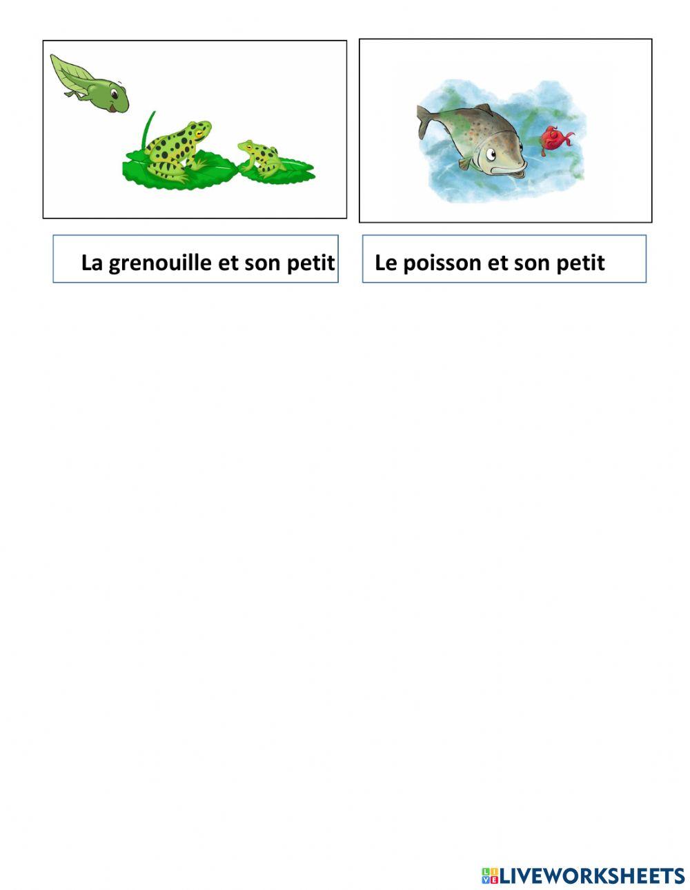 Les animaux et leurs petits eb1