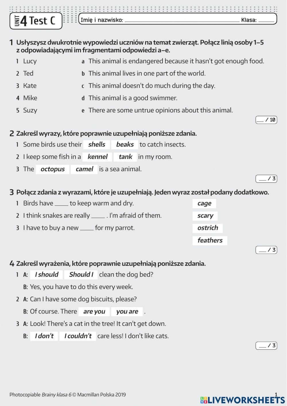 Brainy Klasa 4 Unit 6 Test 6412561 | Brainy 6 Unit 4 Test C | lida11117