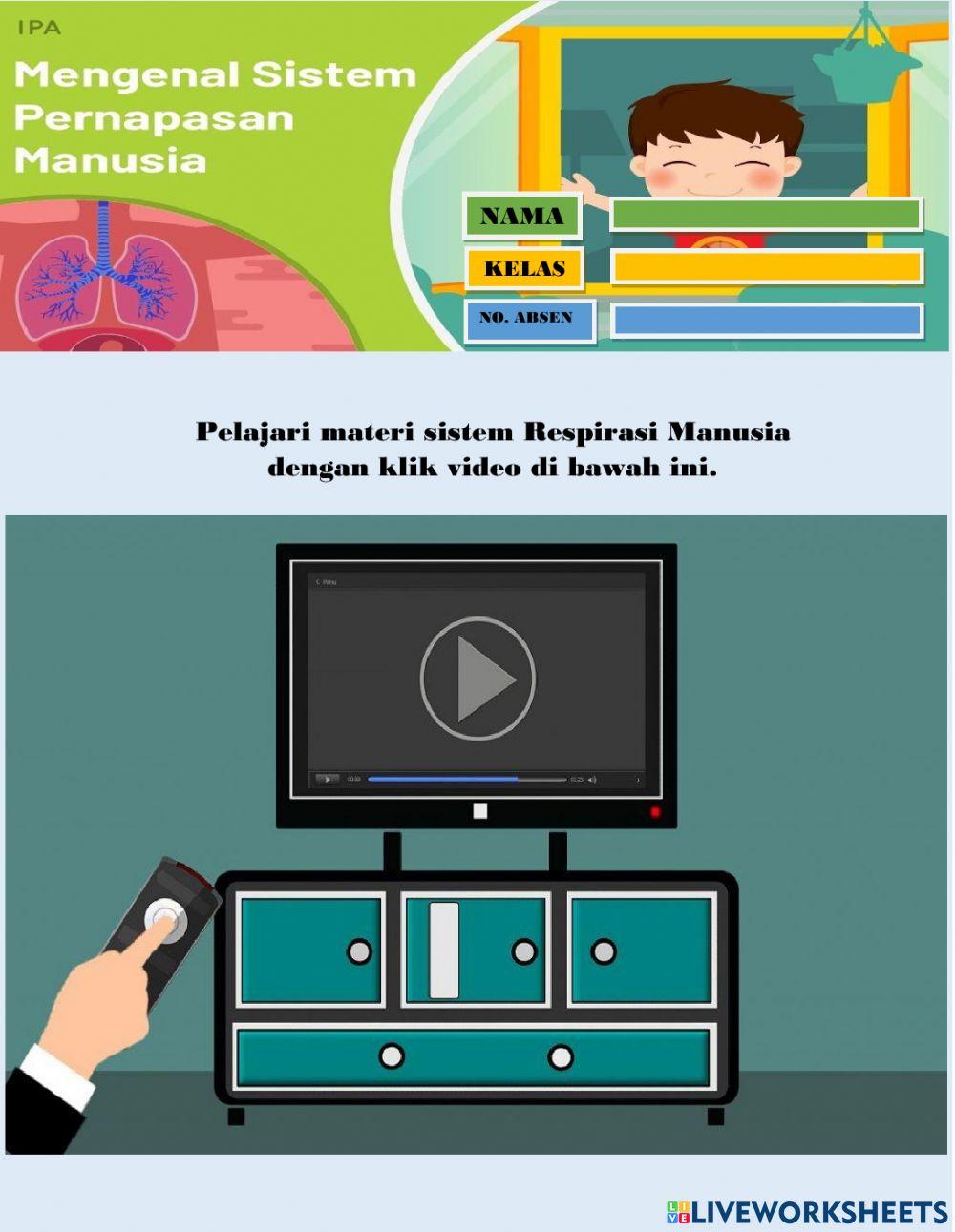 Sistem pernapasan manusia