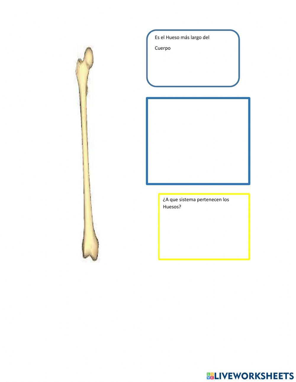 Identificacion de sistemas