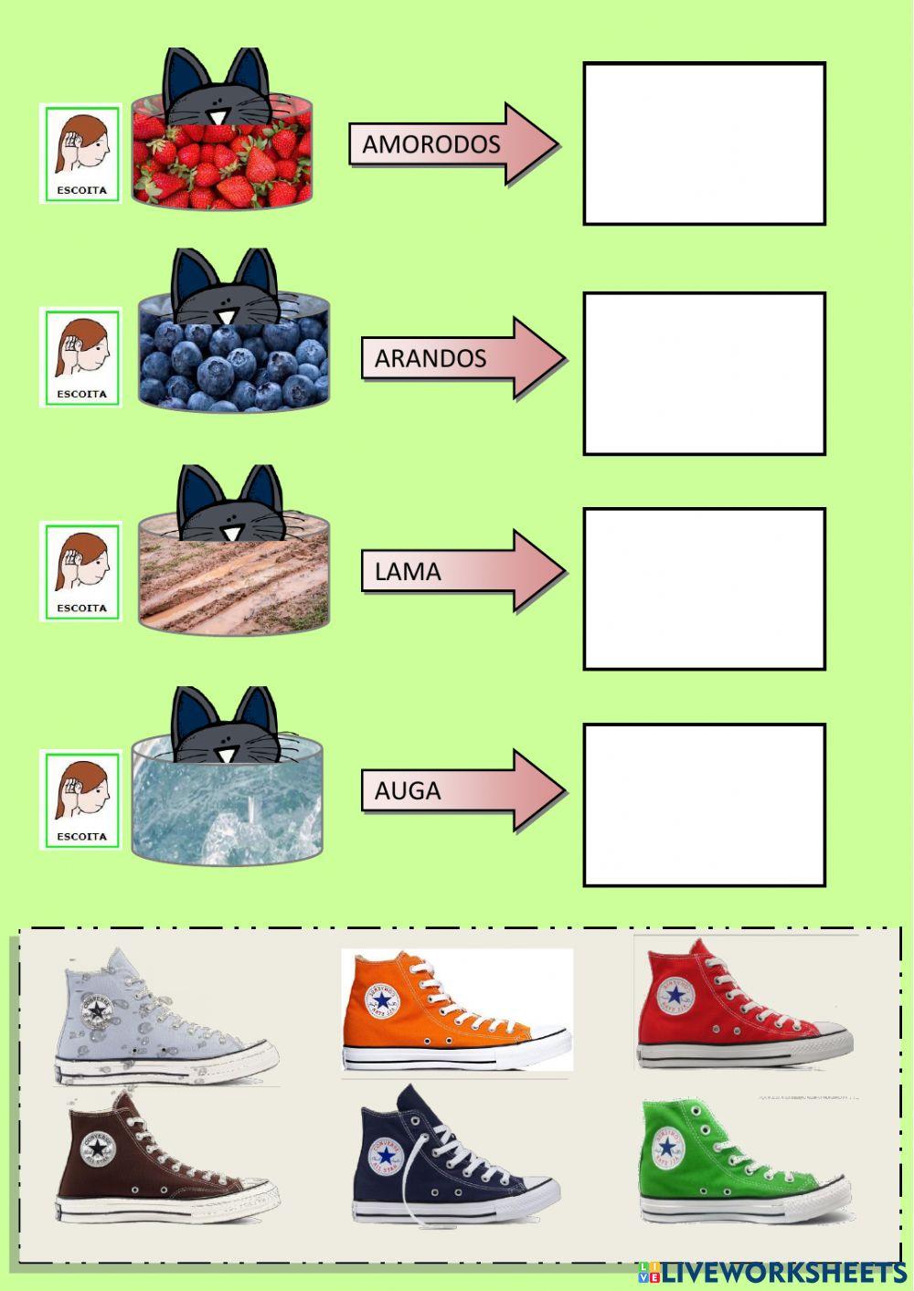 De que cor se lle puxeron os tenis?