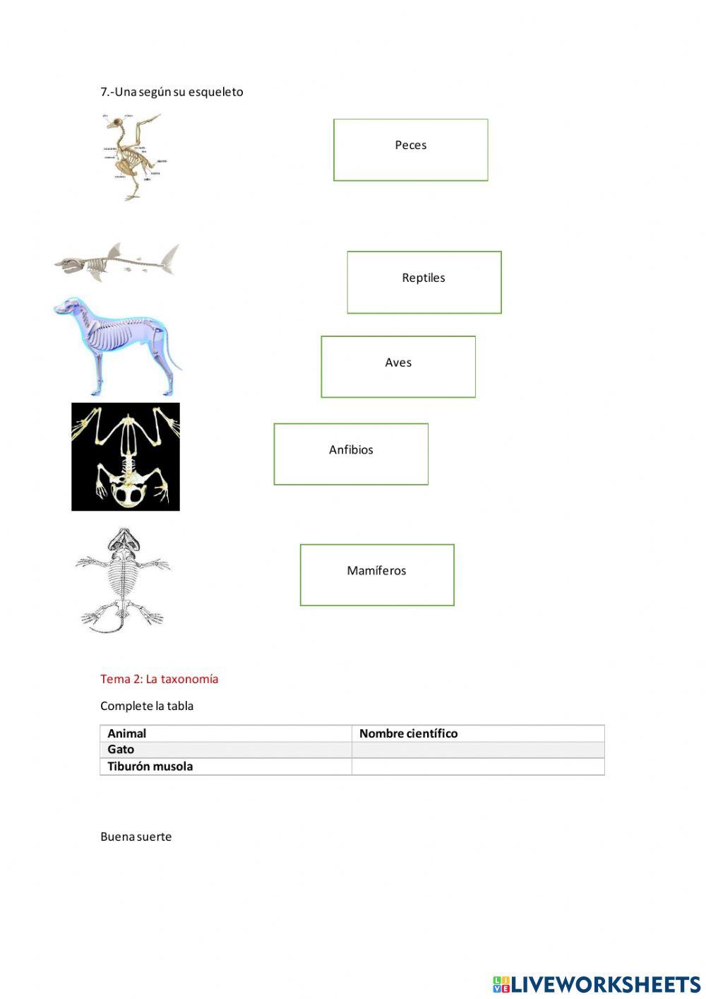 Los animales vertebrados e invertebrados y su taxonomia