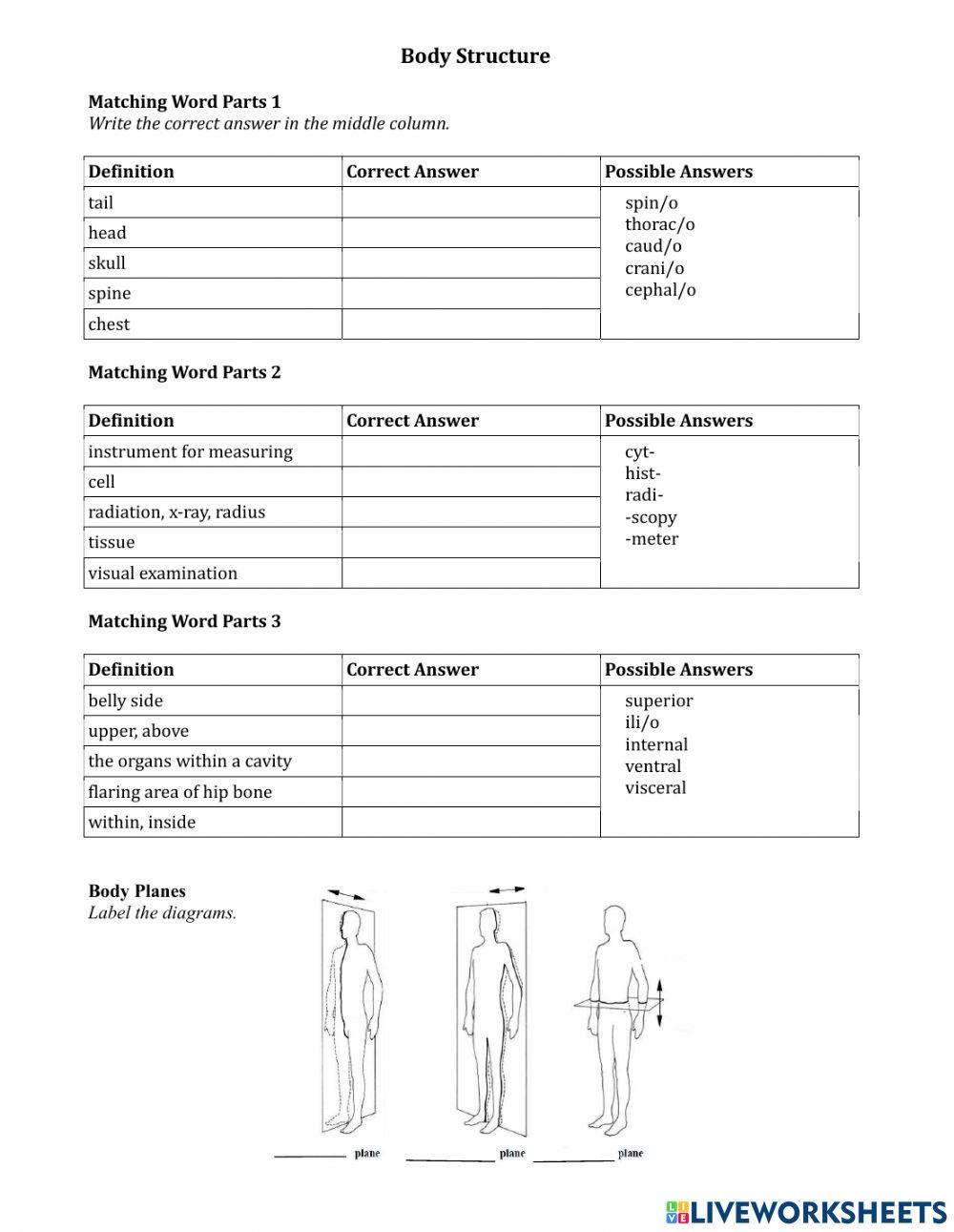 Body Structure Warmup