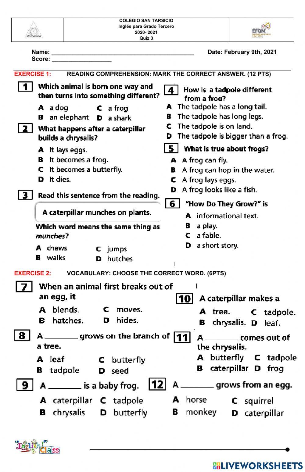 QUIZ - 3 -How do they grow?-