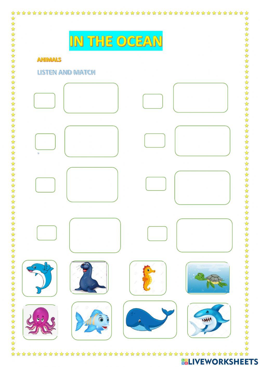 Animals in the ocean