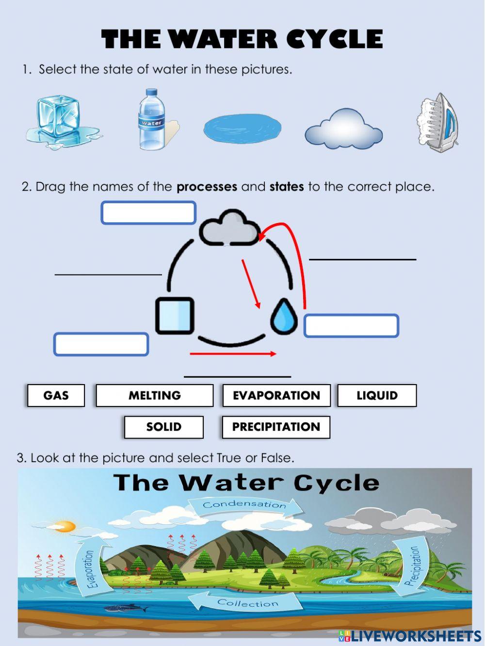 Water cycle