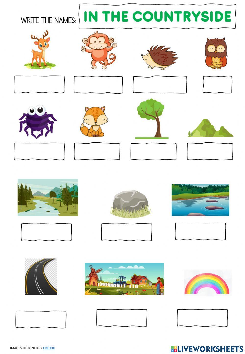 In the countryside vocabulary 3