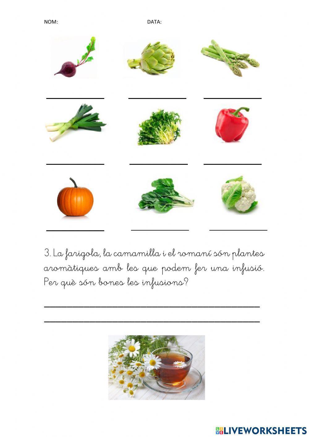 Què mengem de les plantes? Què mengem de les plantes?