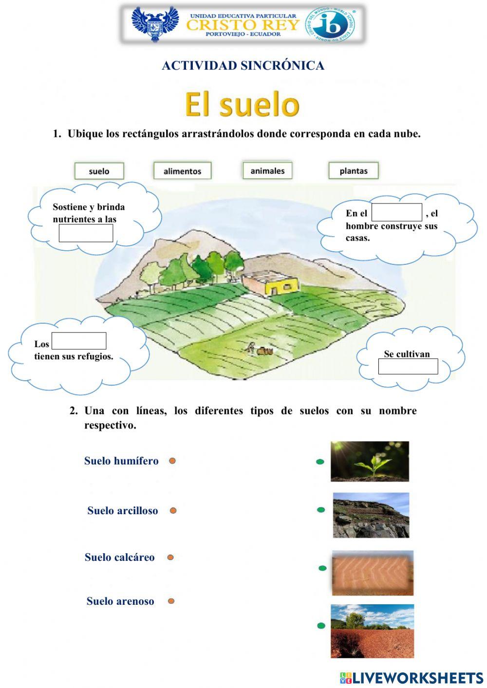 El suelo y su clasificación