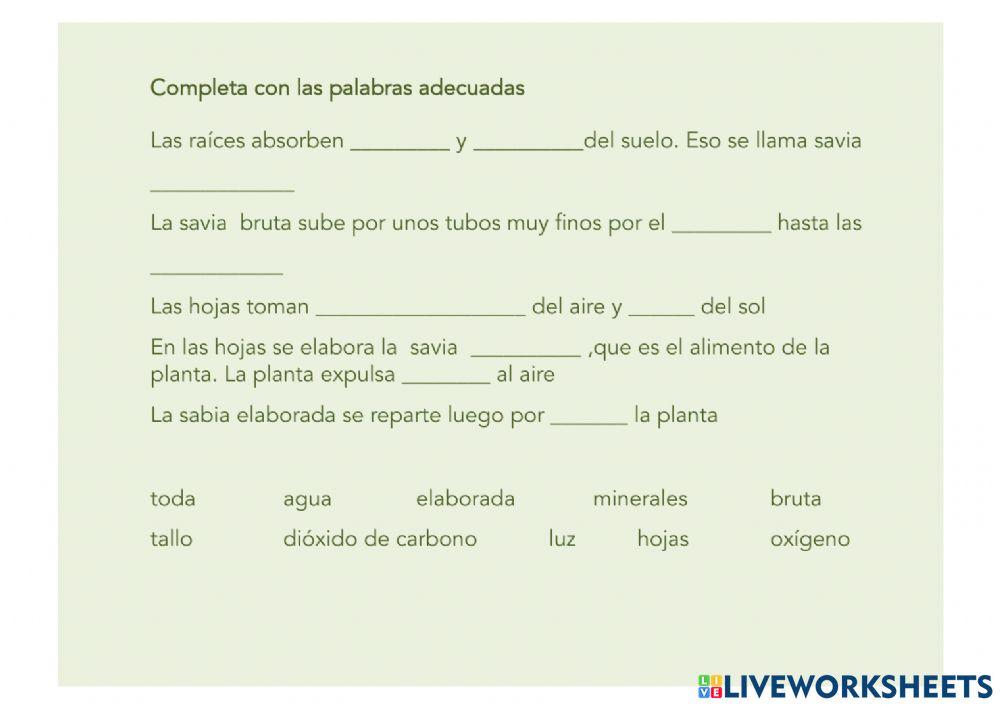 Alimentación de las plantas