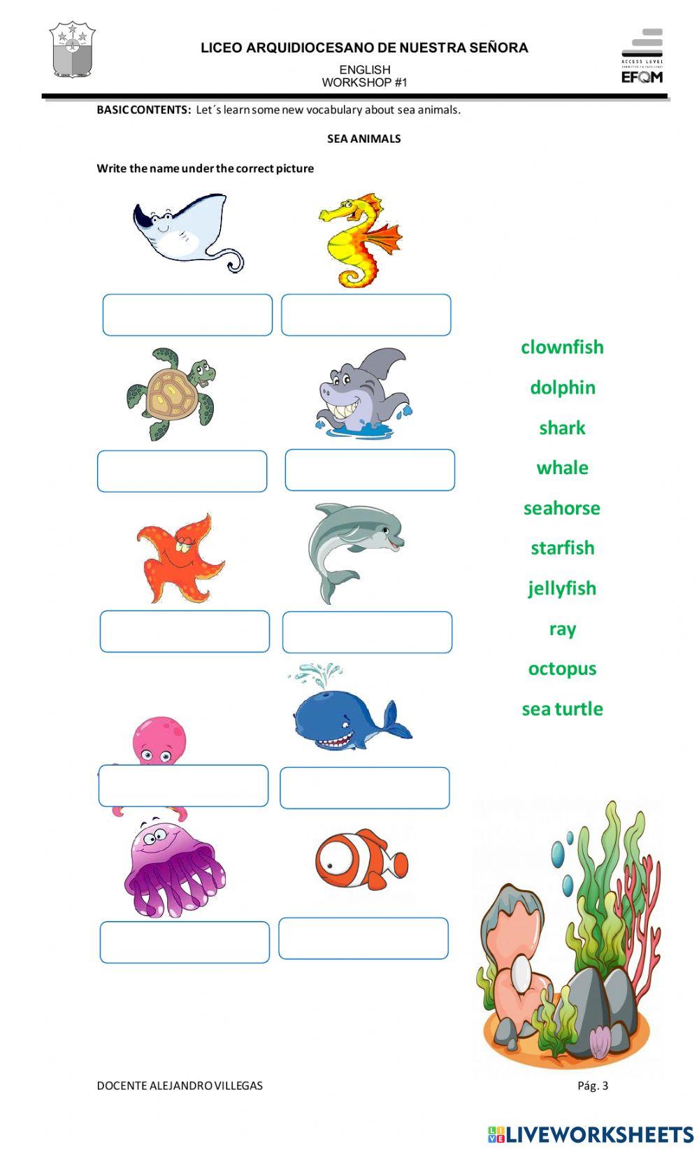 Fourth grade workshop