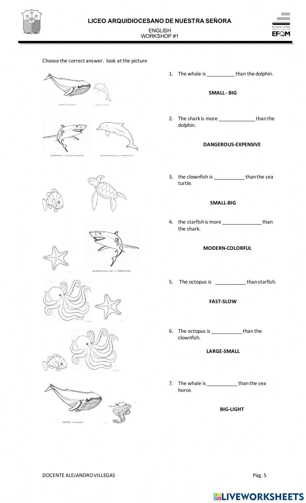 Fourth grade workshop