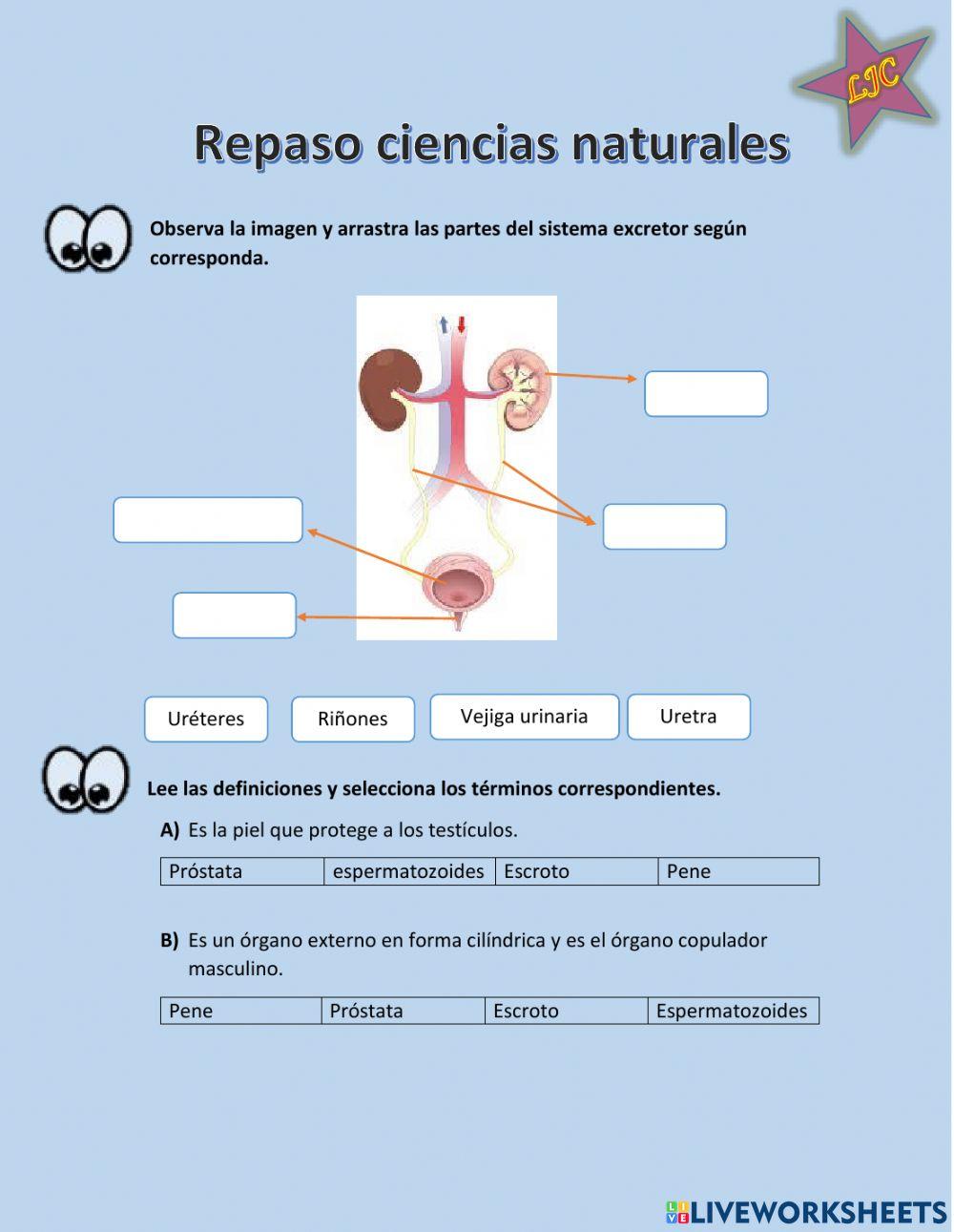 Repaso ciencias naturales