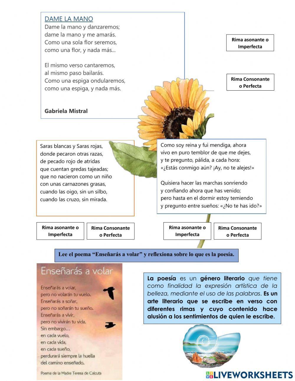 Rima asonante y consonante