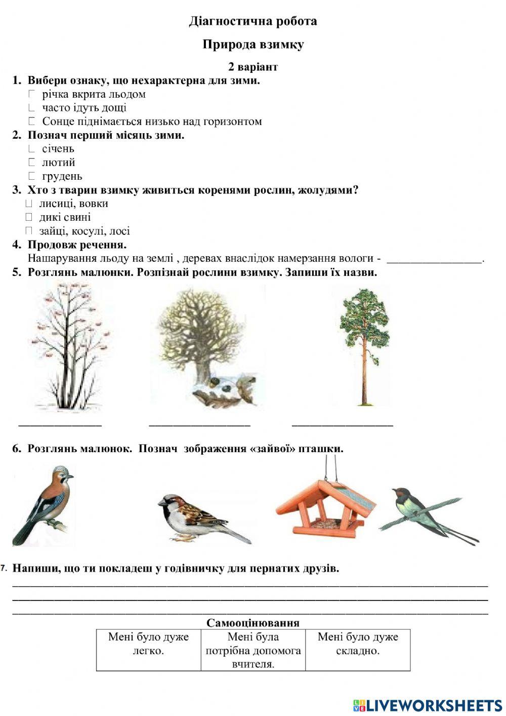 ДІагностична робота Природа взимку ІІ в.