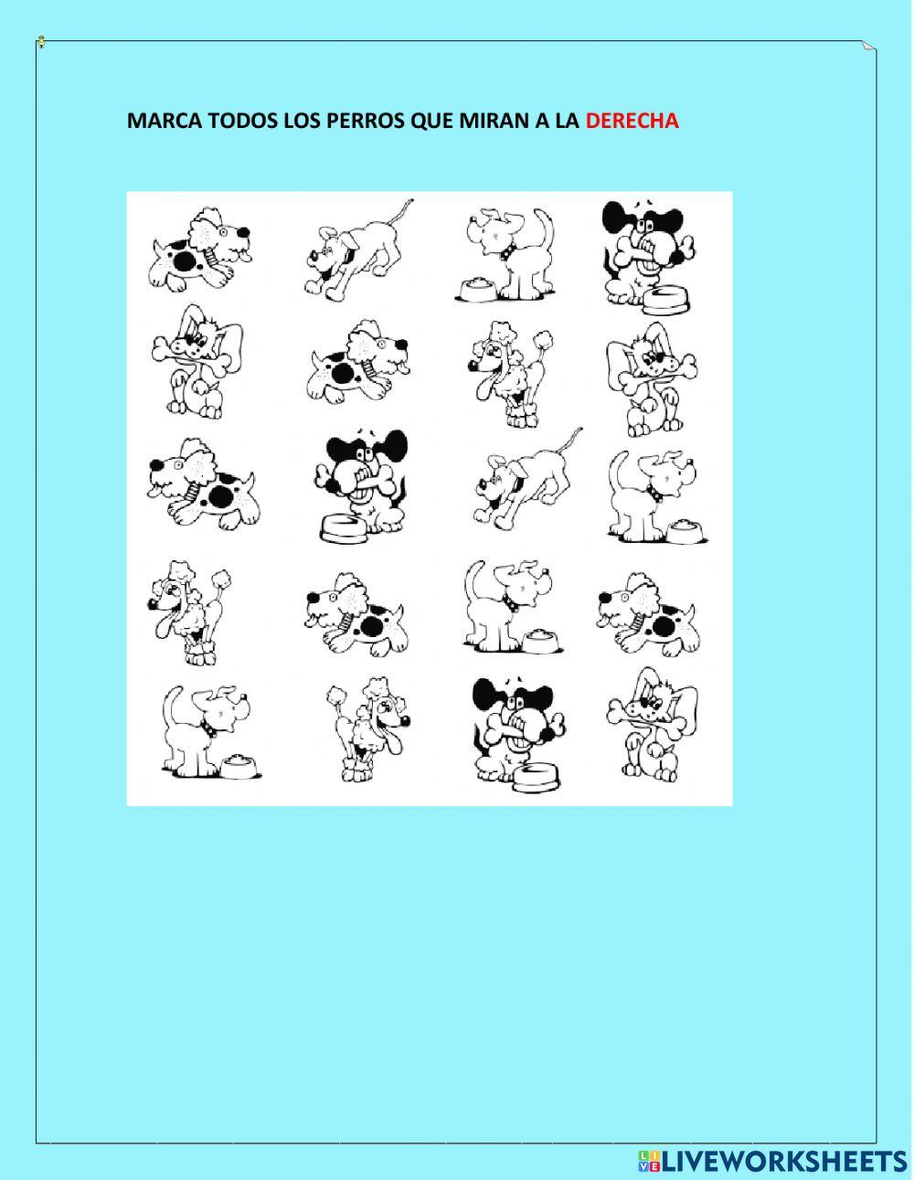 Derecha Izquierda 12