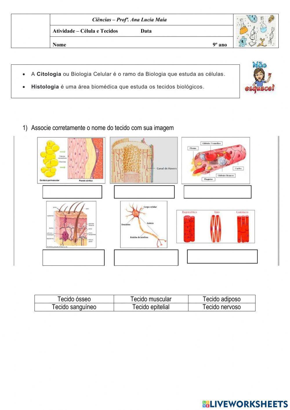 Citologia e histologia