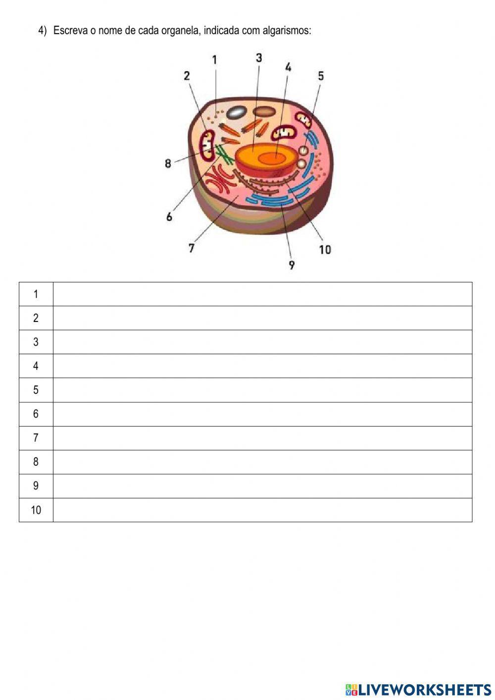 Citologia e histologia