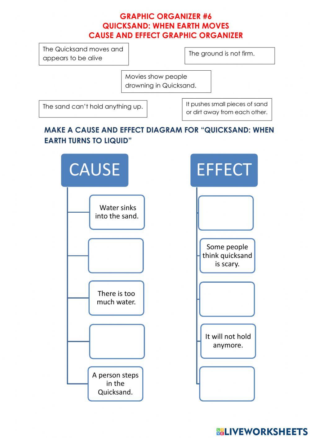 Graphic Organizer 6