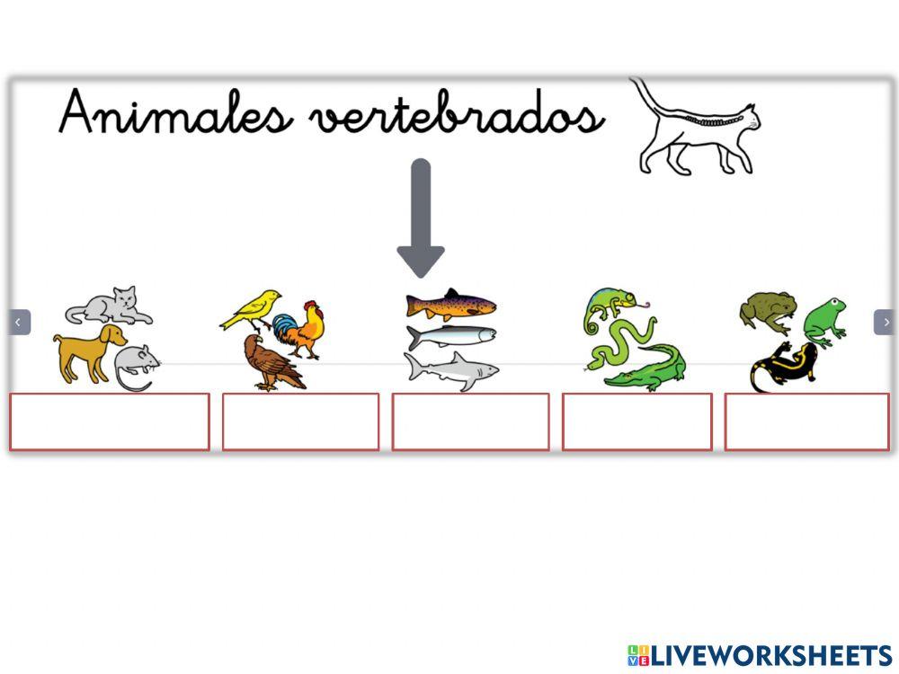 Animales