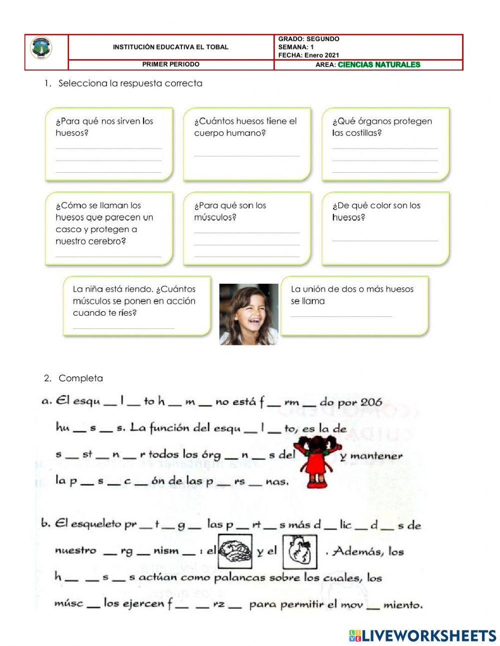 Cuerpo Humano (Huesos - Musculos)