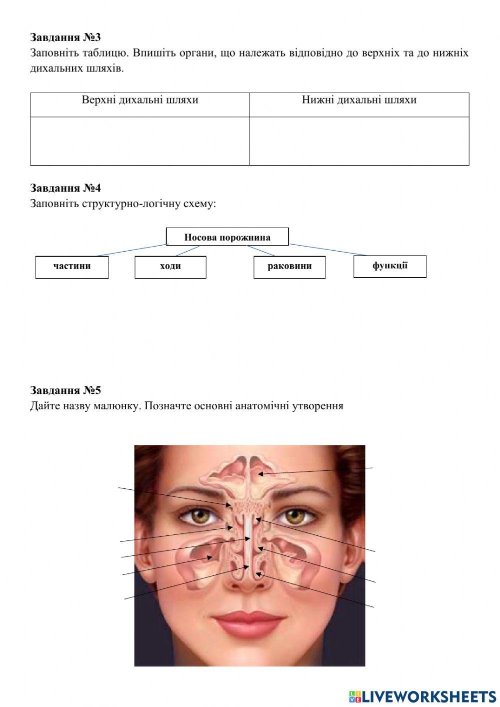 Практичне заняття №11