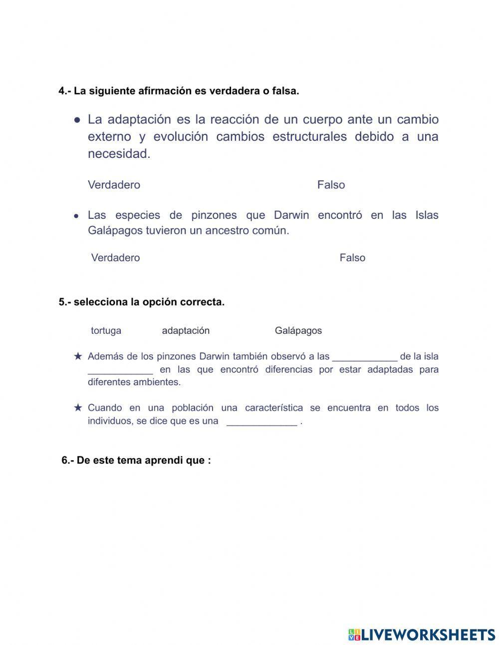 Vacacional (tema -4)