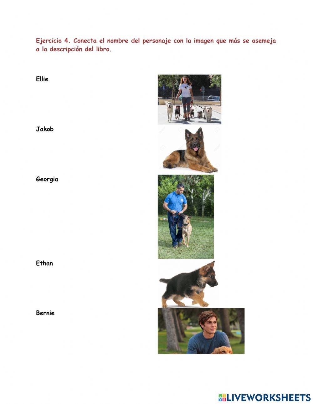 Taller de comprensión lectora 1- La razón de estar contigo. La historia de Ellie