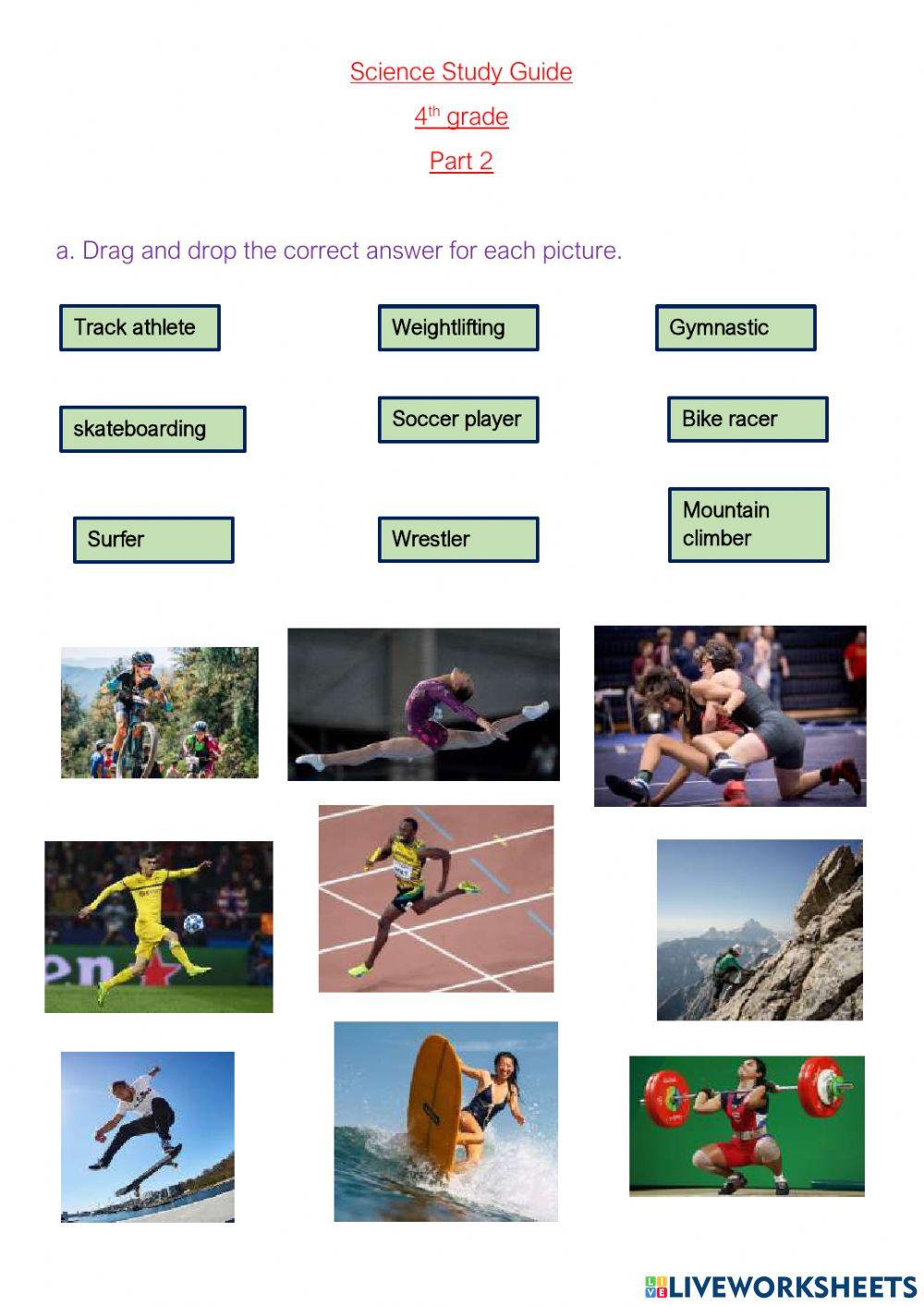 Science study guide 4th grade