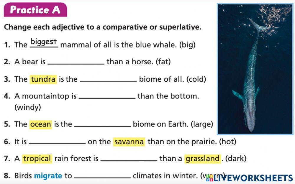 Comparatives and superlatives