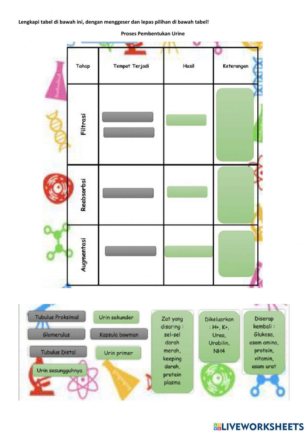 Ginjal dan pembentukan urine