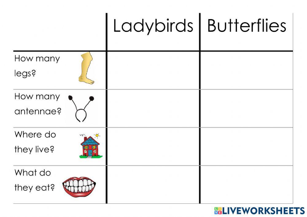 Ladybirds vs Butterflies