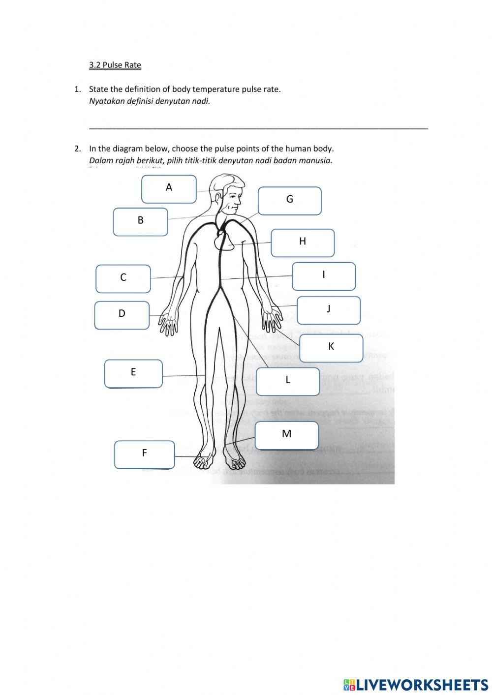 Sc f4 3.1 body temperature & 3.2 pulse rate
