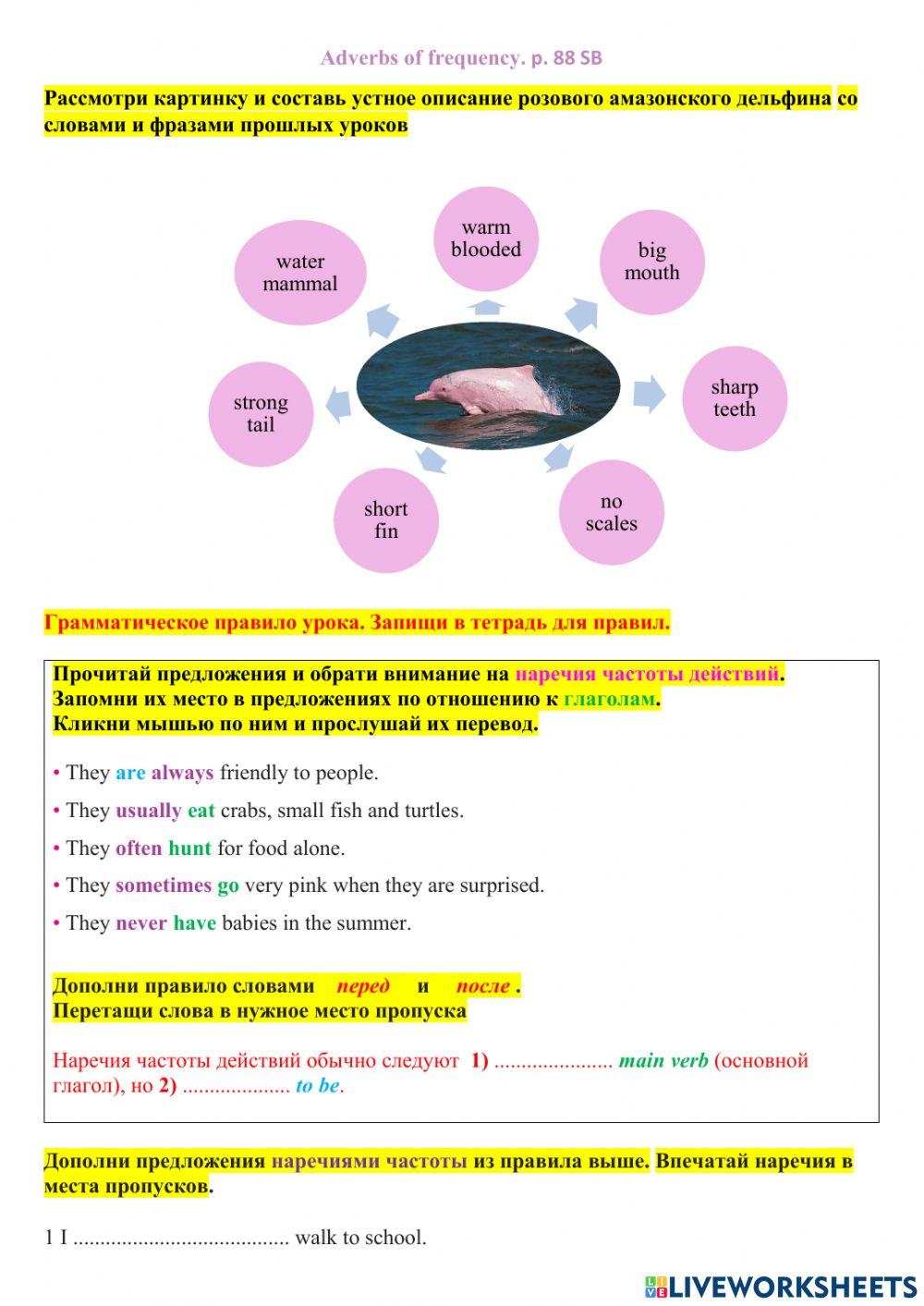 Adverbs of frequency