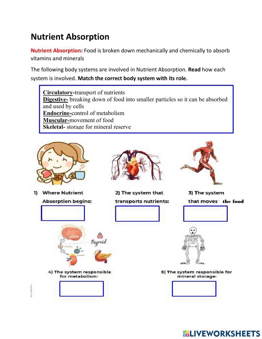 Body Systems: Regulation for Nutrient Absorption, Reproduction, and Defense from Injury-Illness