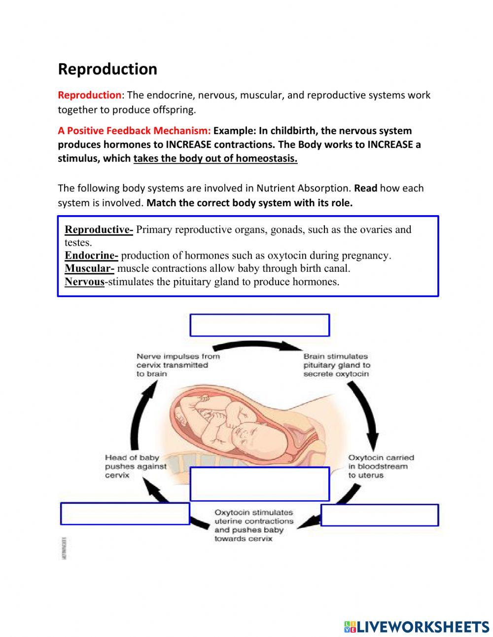 Body Systems: Regulation for Nutrient Absorption, Reproduction, and Defense from Injury-Illness