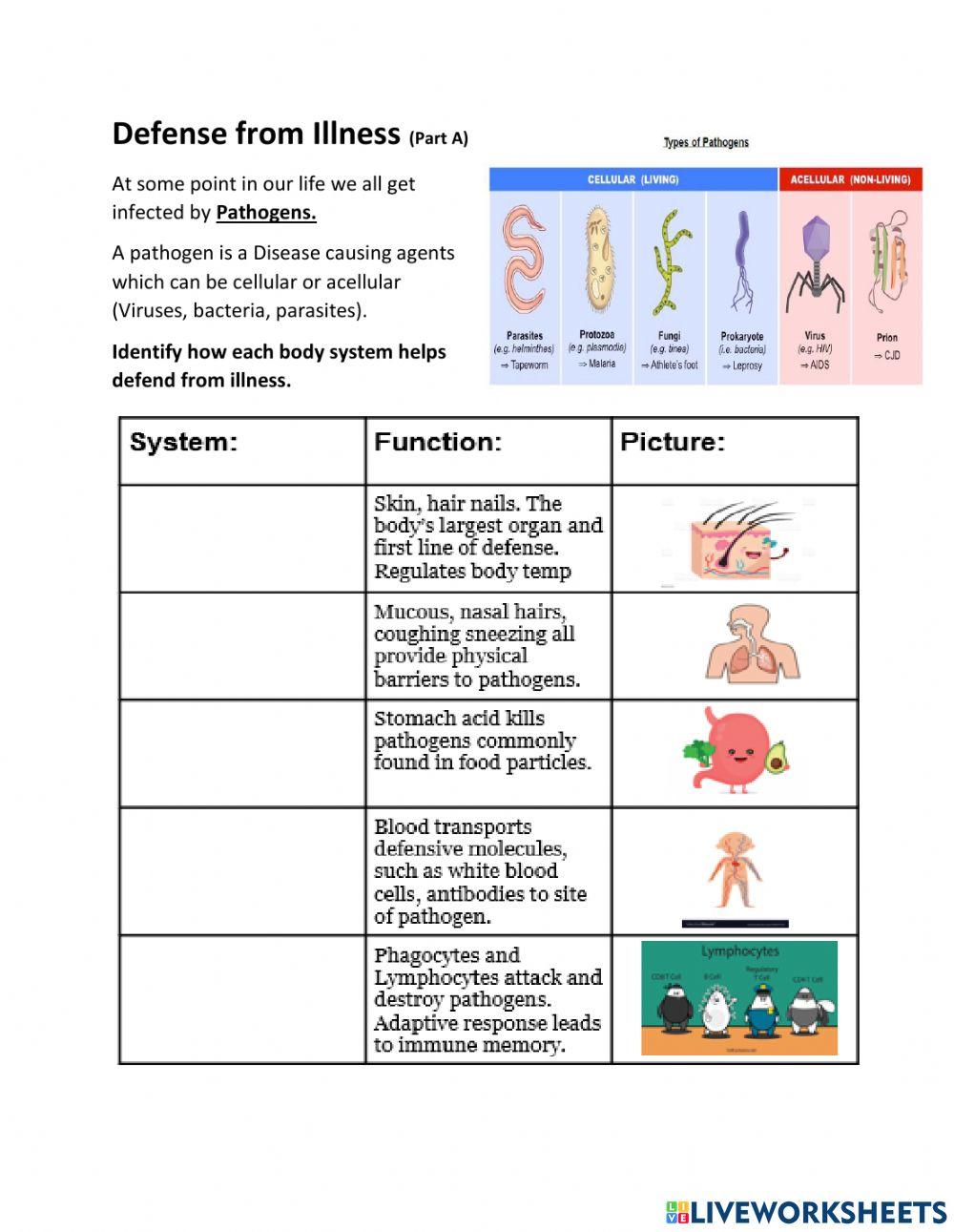 Body Systems: Regulation for Nutrient Absorption, Reproduction, and Defense from Injury-Illness