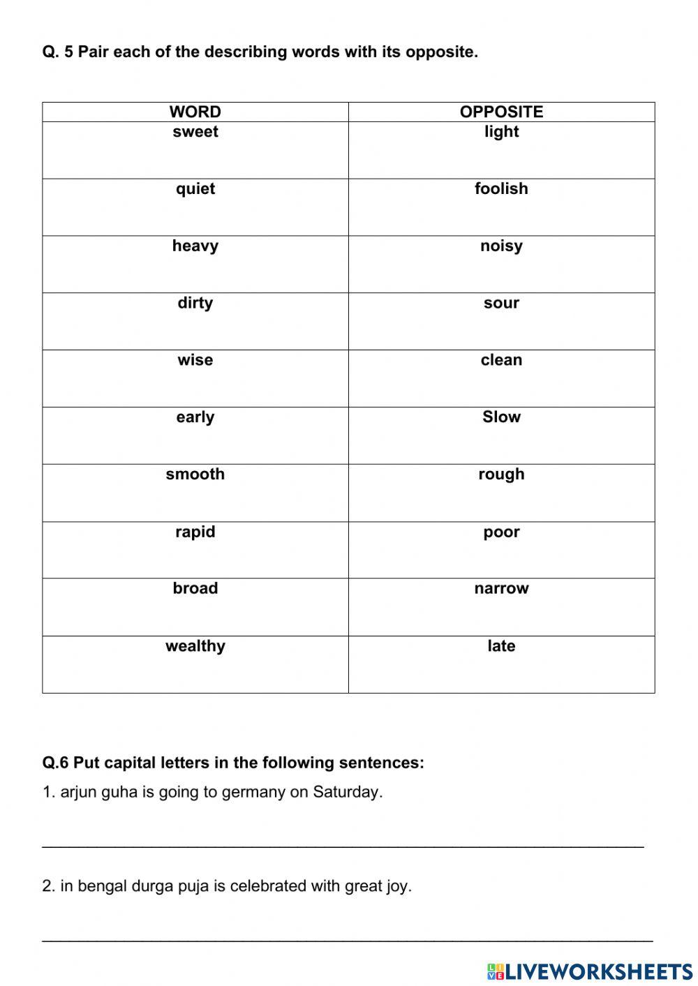 Grammar Worksheet