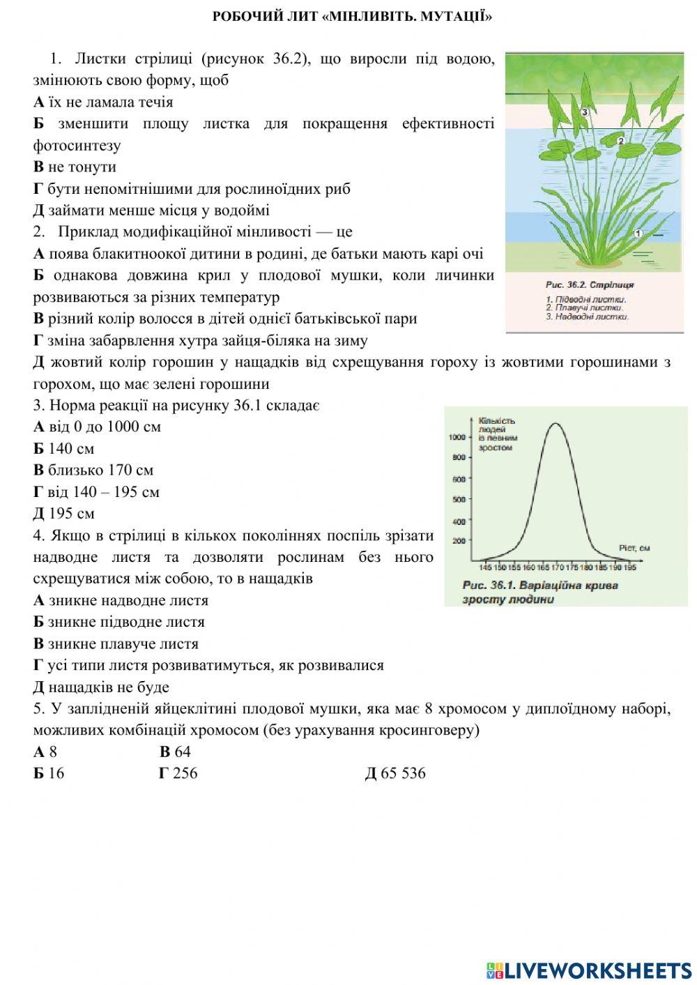 Мінливість Мутації