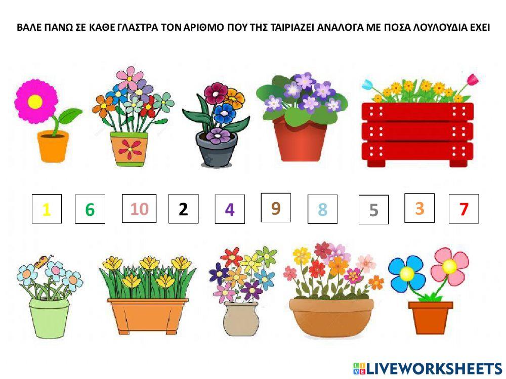 Αριθμοι-γλαστρες