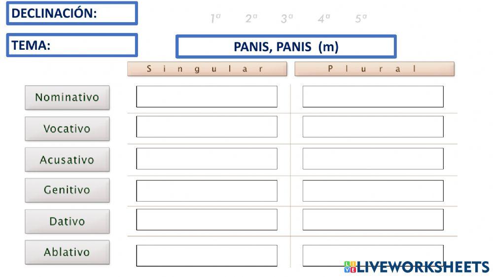 REPASO DECLINACIONES 01