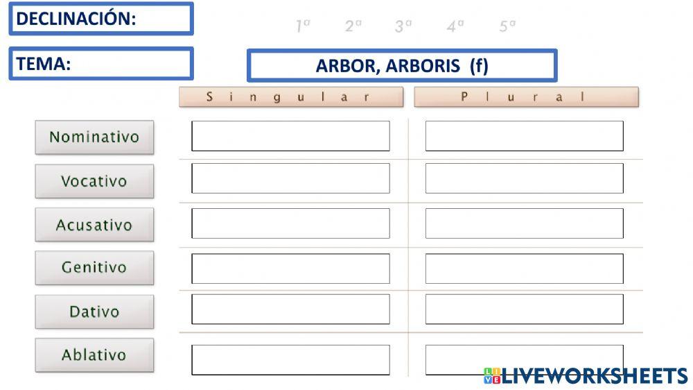REPASO DECLINACIONES 01