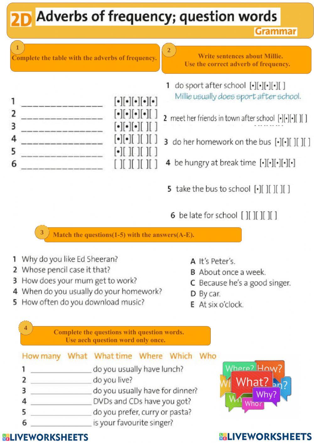 Wh- words and frequency adverbs