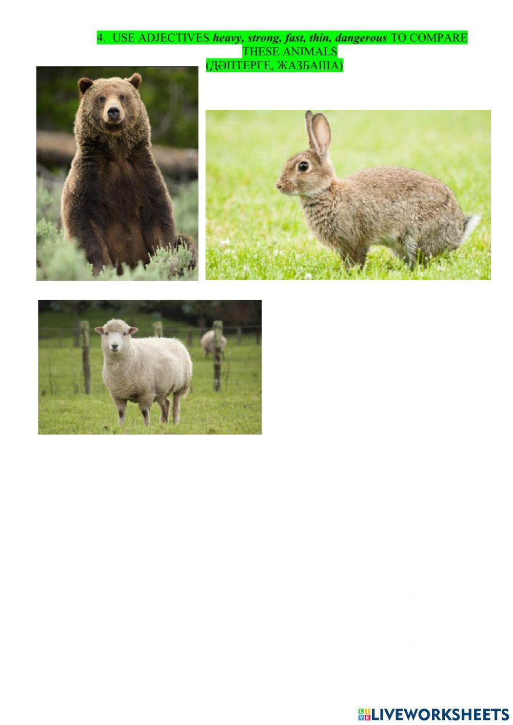 Comperative-superlative adjectives